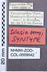 Etiketten zu Dolinolus frictus (NHMW-ZOO-COL-0009942)